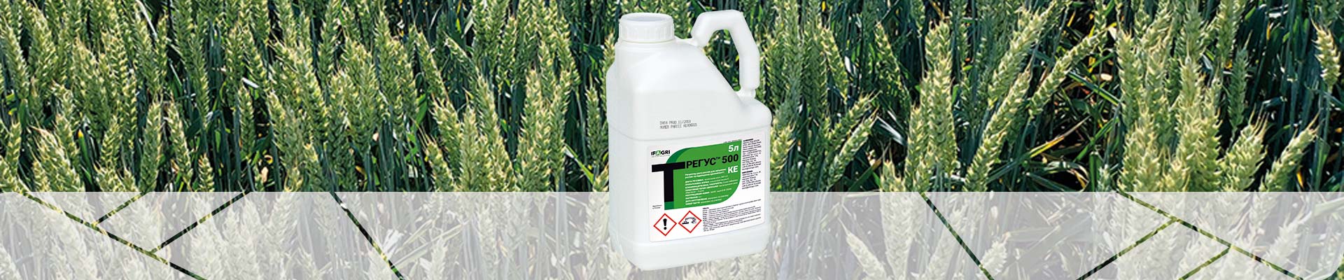 tregus-ifagri-retardant