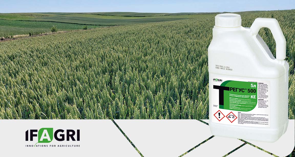 trehus-rehuliator-rostu-ifagri