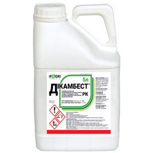 Дікамбест, РК dikambest